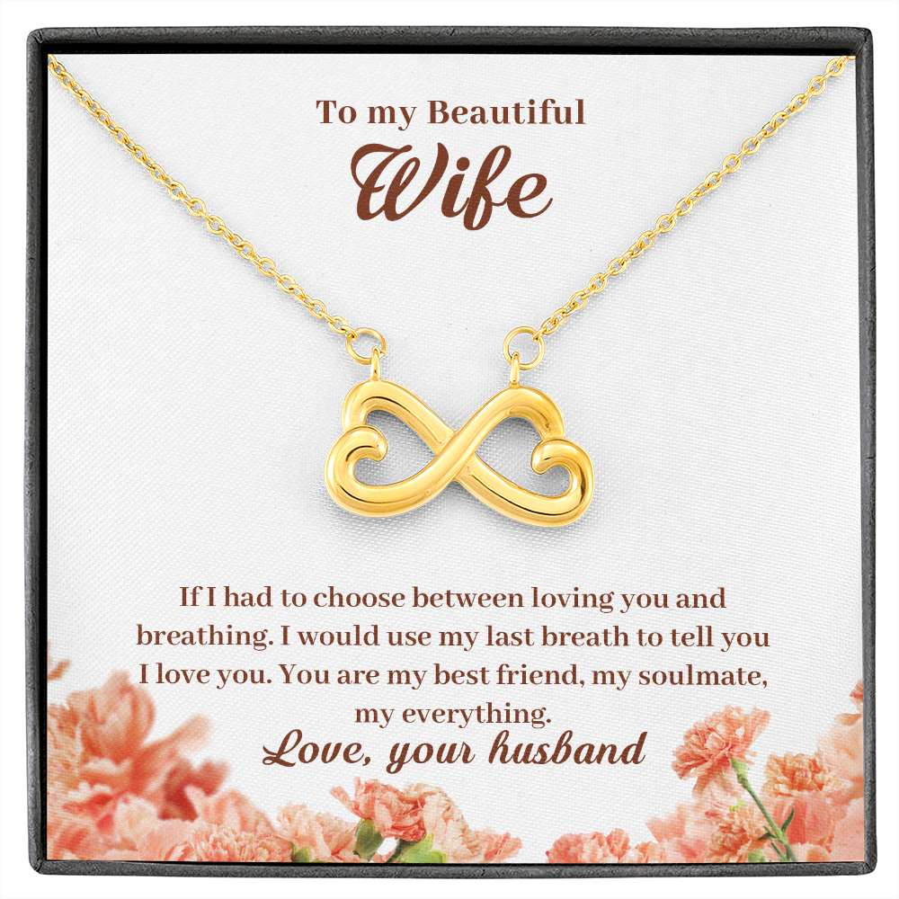 To My Beautiful Wife, If I Had To Choose...