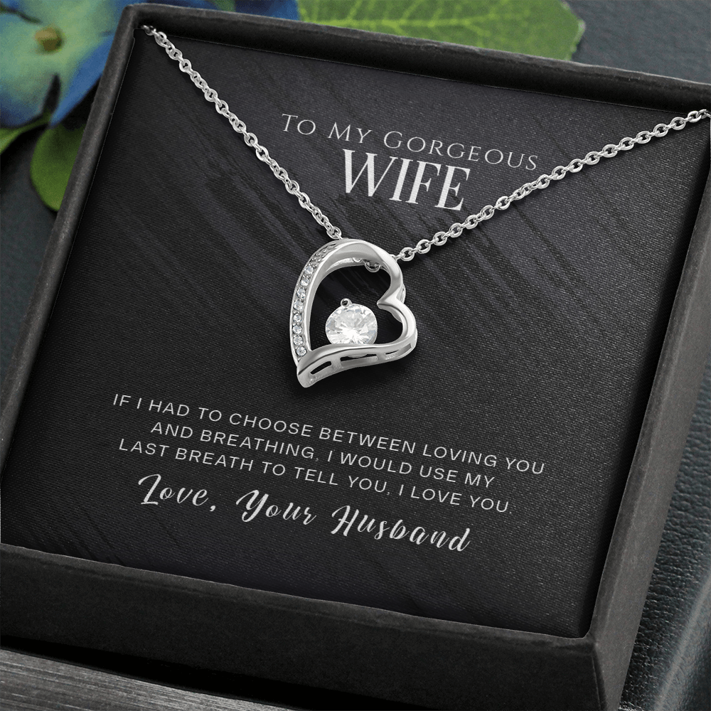 To My Gorgeous Wife, If I Had To Choose...