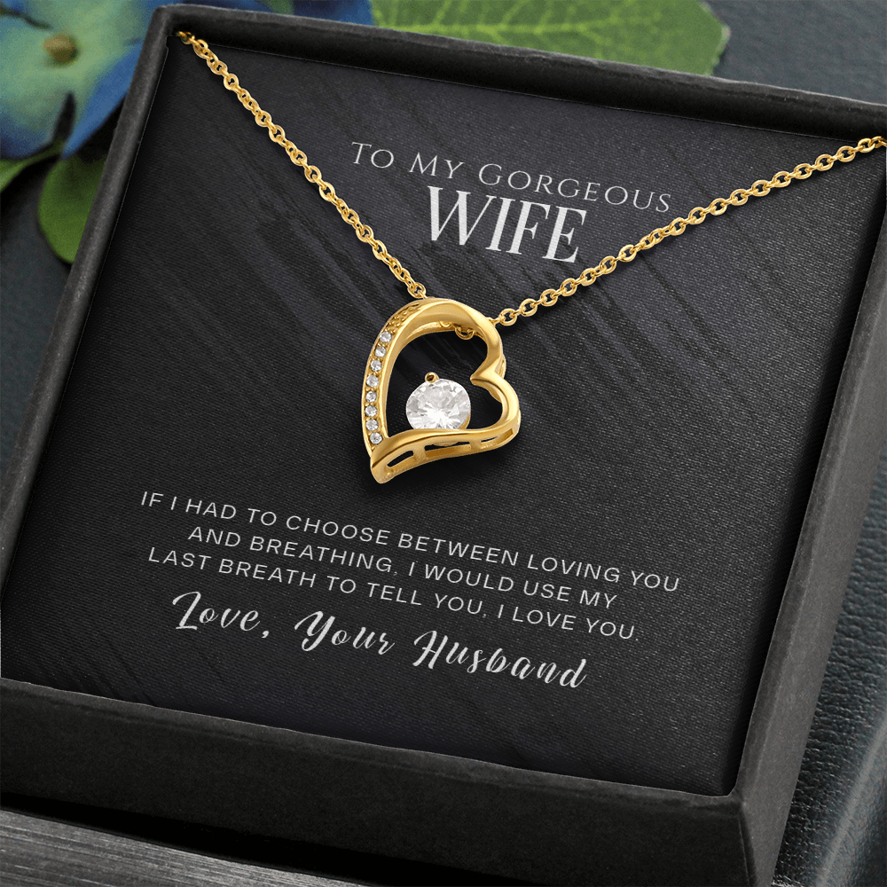 To My Gorgeous Wife, If I Had To Choose...