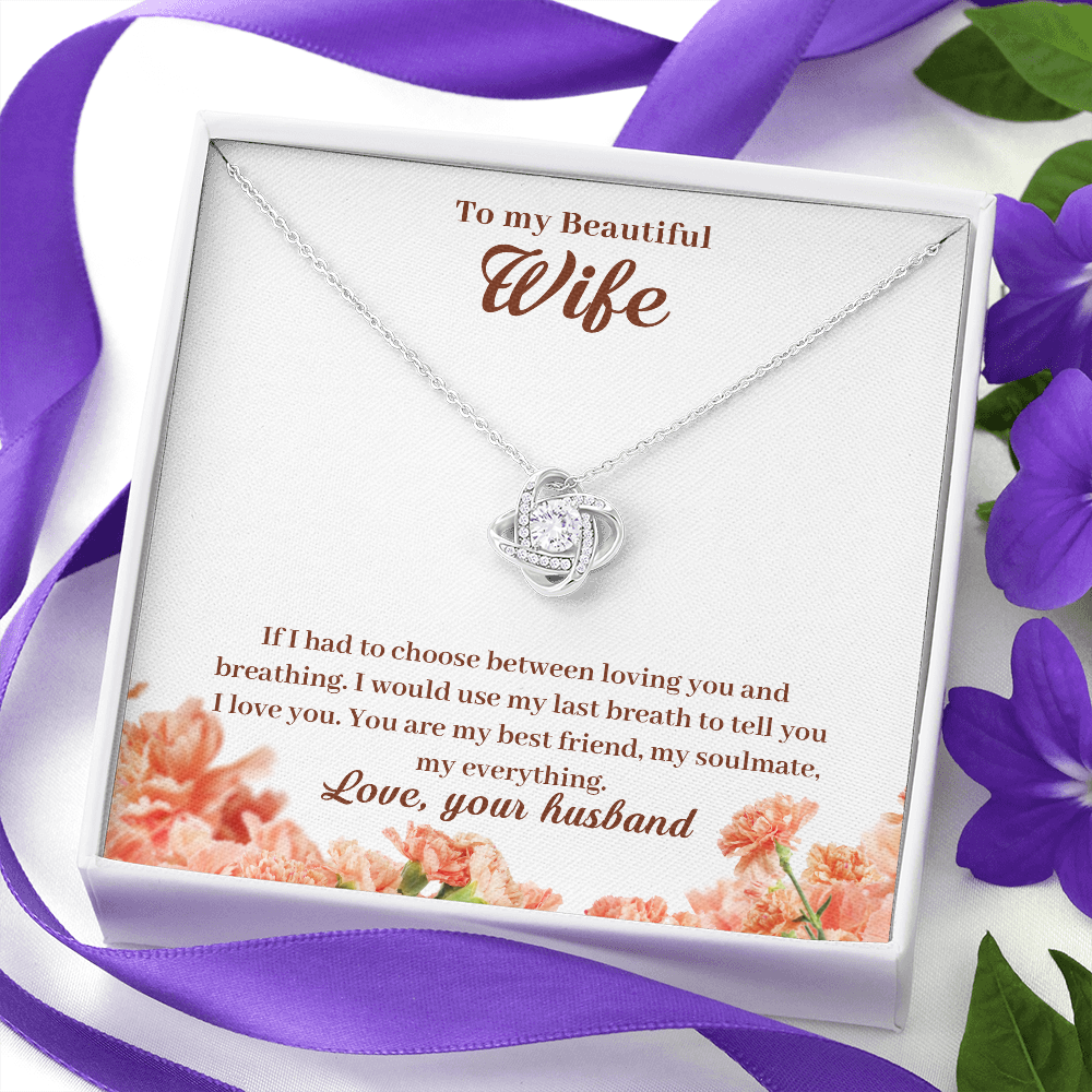 To My Beautiful Wife, If I Had To Choose...