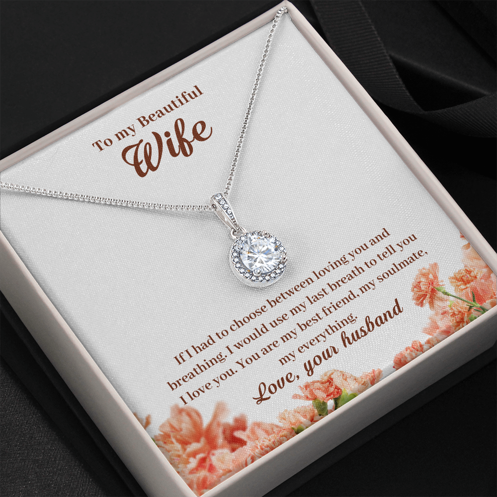 To My Beautiful Wife, If I Had To Choose...