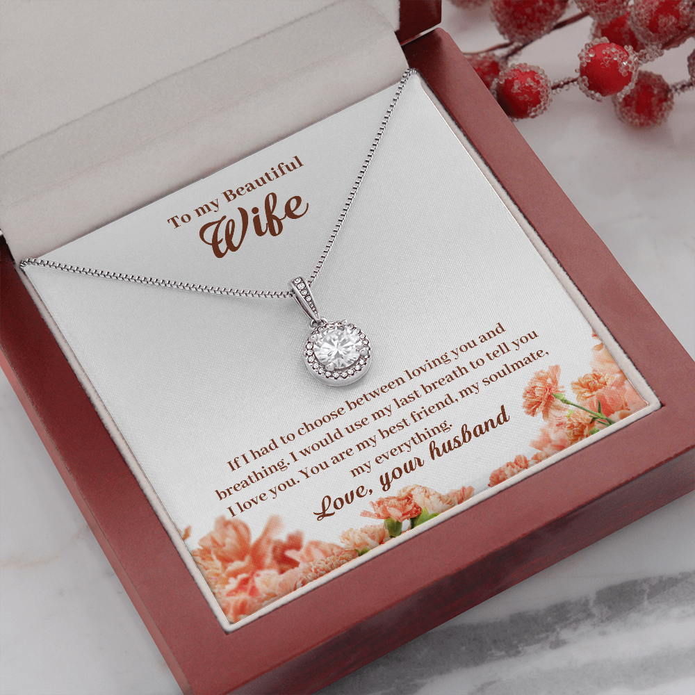 To My Beautiful Wife, If I Had To Choose...