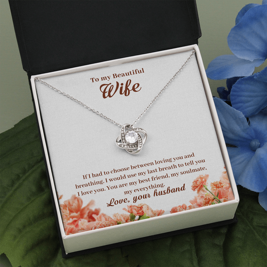 To My Beautiful Wife, If I Had To Choose...
