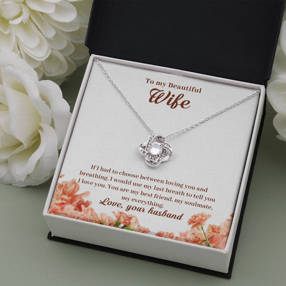 To My Beautiful Wife, If I Had To Choose...