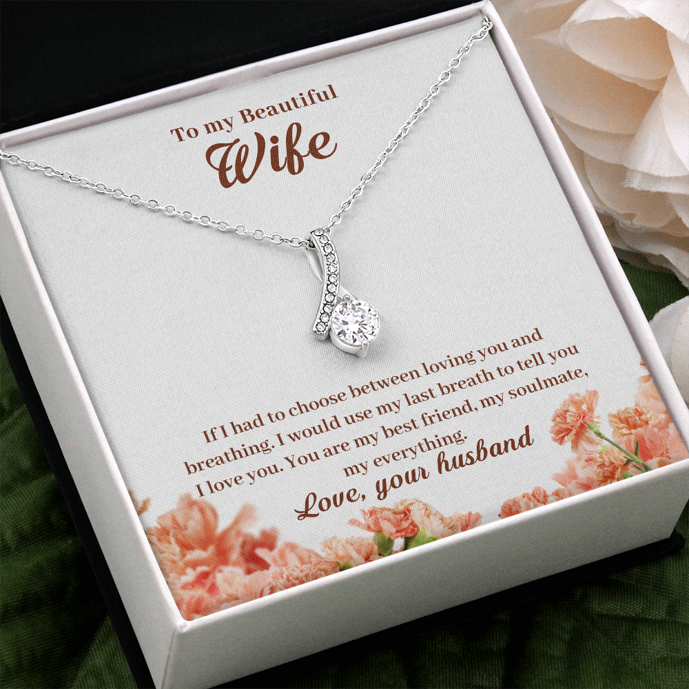To My Beautiful Wife, If I Had To Choose...