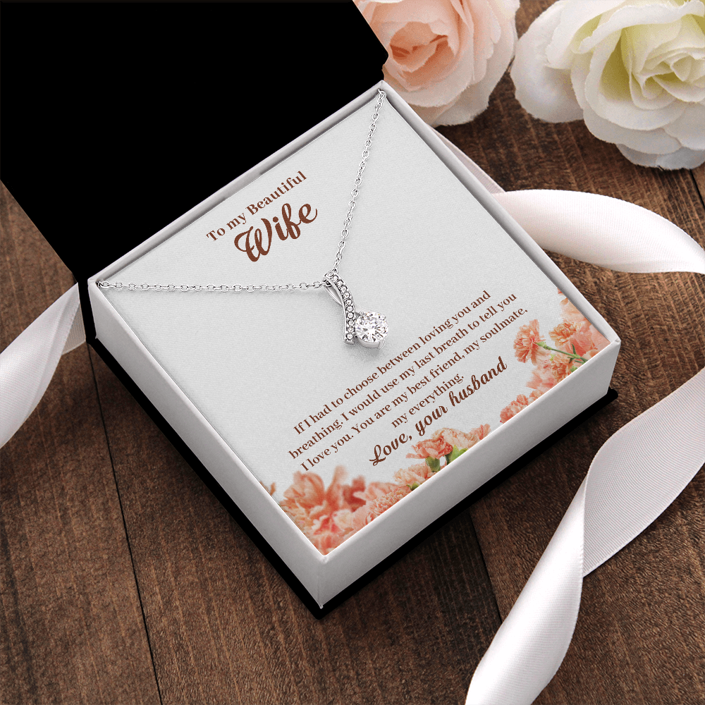 To My Beautiful Wife, If I Had To Choose...