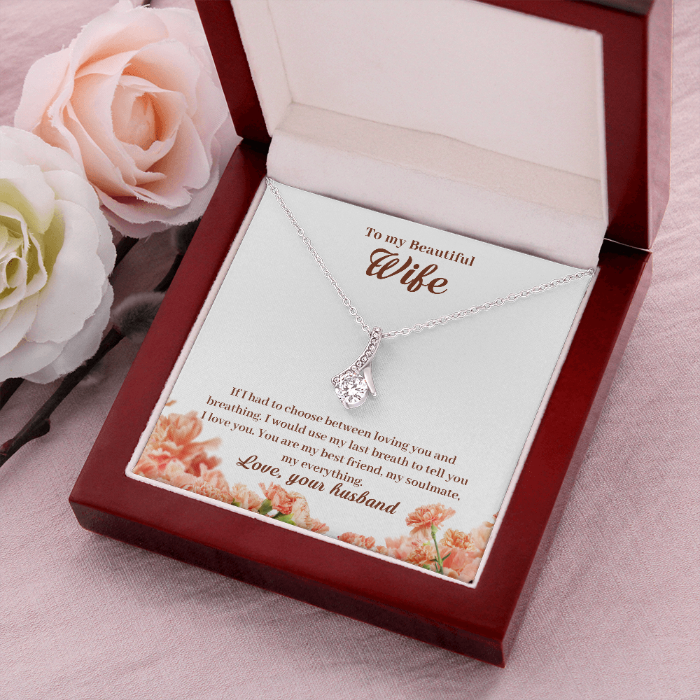 To My Beautiful Wife, If I Had To Choose...