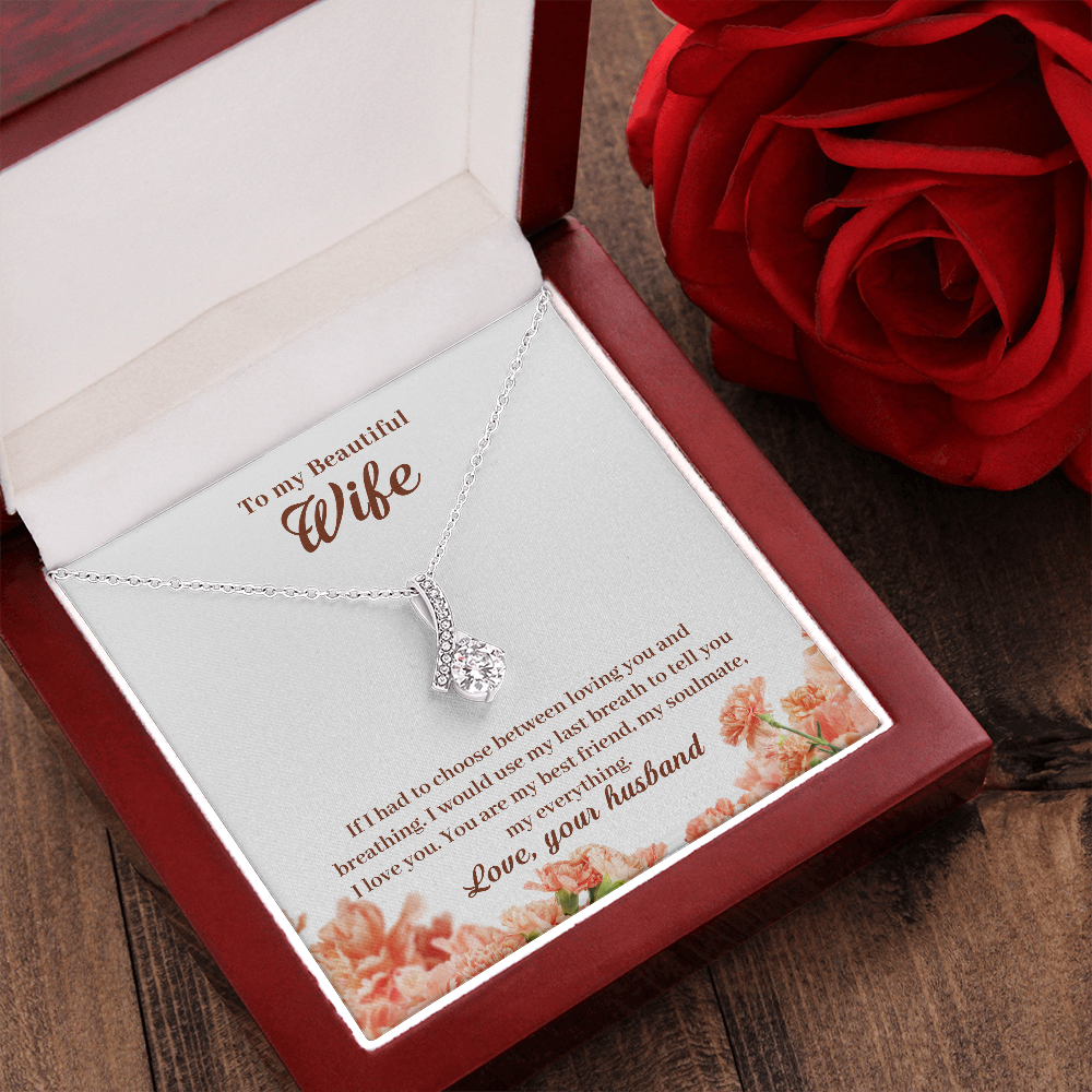 To My Beautiful Wife, If I Had To Choose...