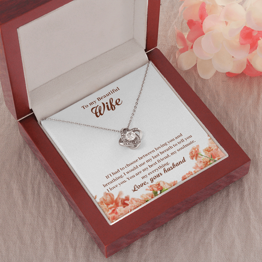 To My Beautiful Wife, If I Had To Choose...
