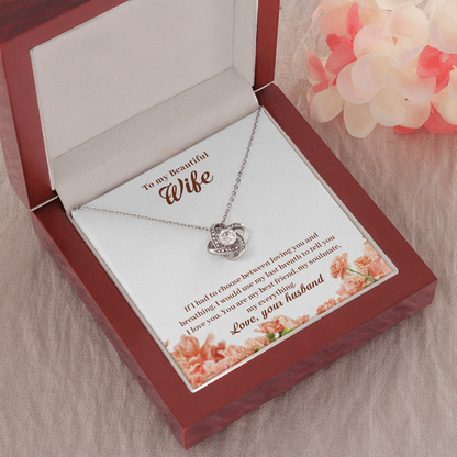 To My Beautiful Wife, If I Had To Choose...