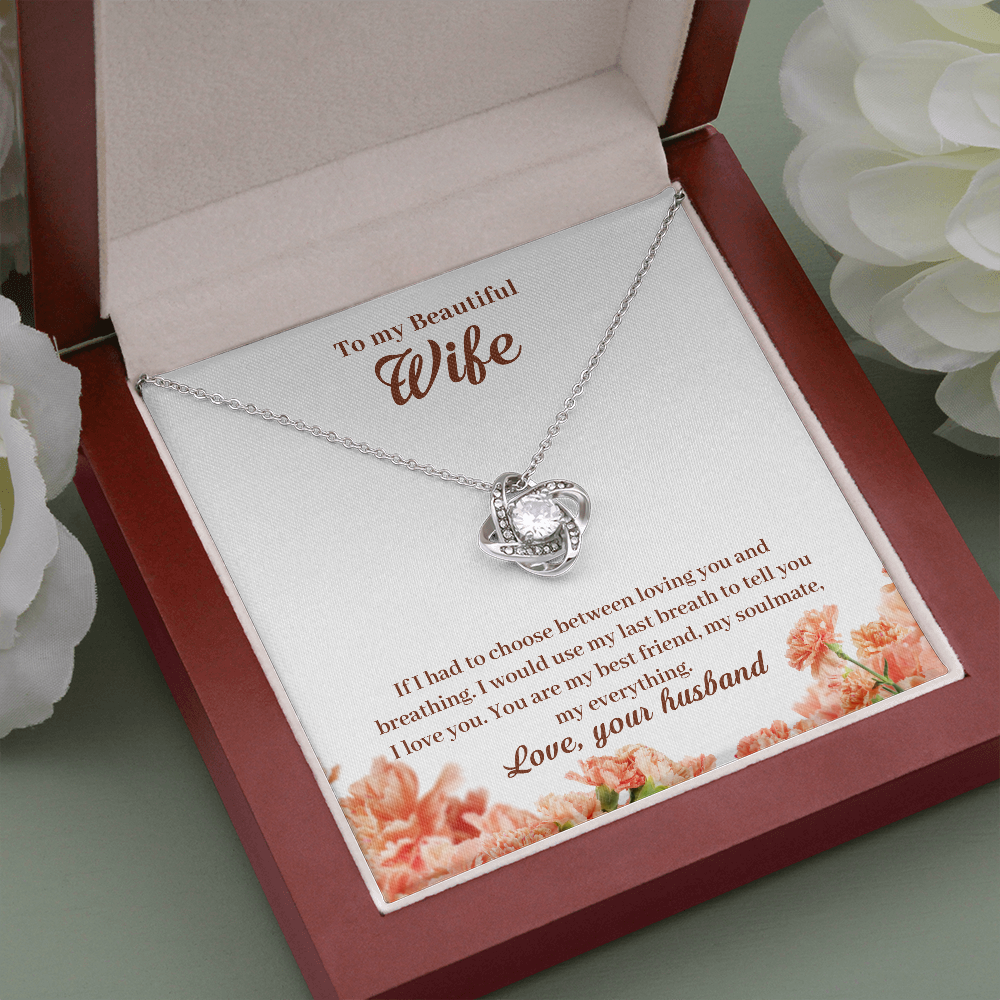 To My Beautiful Wife, If I Had To Choose...
